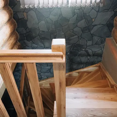 Lodge стежка в гори Verkhovyna