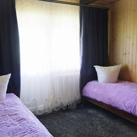 Lodge стежка в гори Verkhovyna