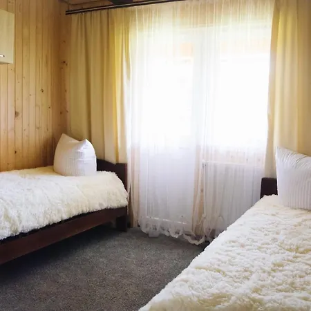 Lodge стежка в гори Verkhovyna