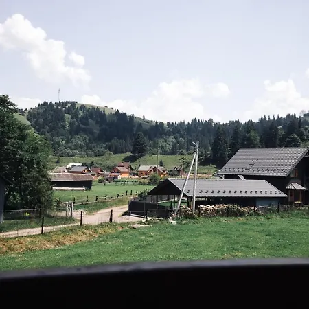 стежка в гори * Verkhovyna