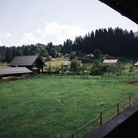 стежка в гори * Verkhovyna