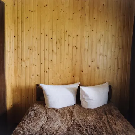 стежка в гори Lodge Verkhovyna