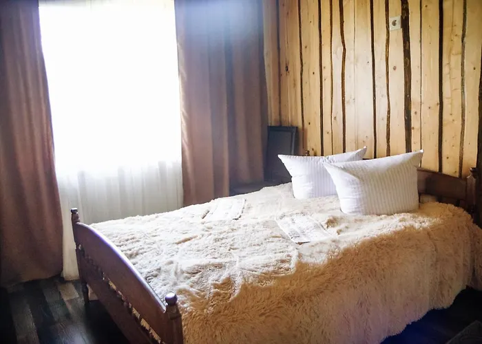 стежка в гори 山林小屋