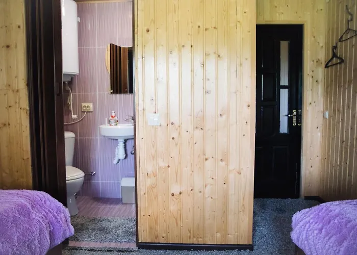 стежка в гори * Verkhovyna